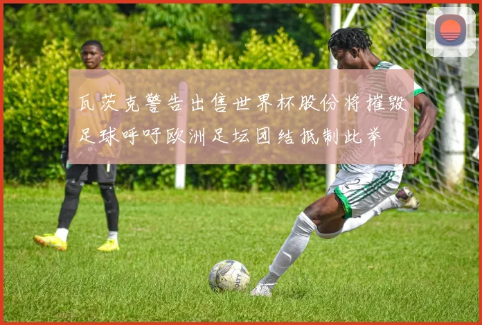 瓦茨克警告出售世界杯股份将摧毁足球呼吁欧洲足坛团结抵制此举